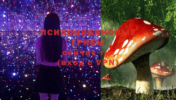 бошки Богданович