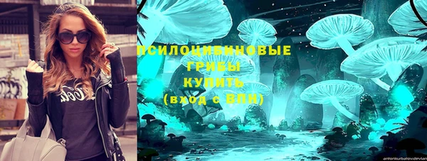 бошки Богданович