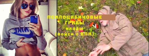 мдма Богородск