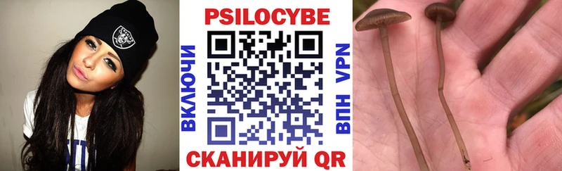 цена наркотик блэк спрут вход Псилоцибиновые грибы Psilocybine cubensis Березники